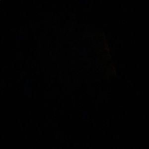 Meet your Posher, Will